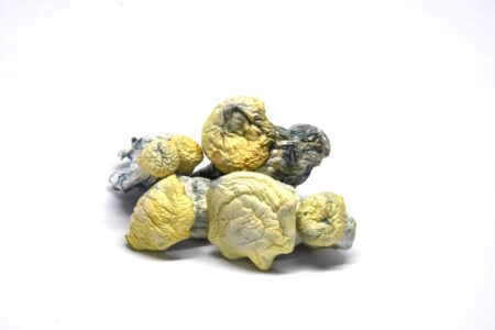 Buy Texas Yellow Caps Magic Mushrooms