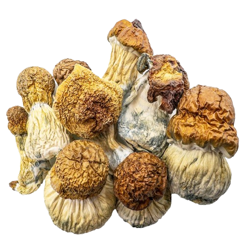 Can I legally buy shrooms online in Australia?