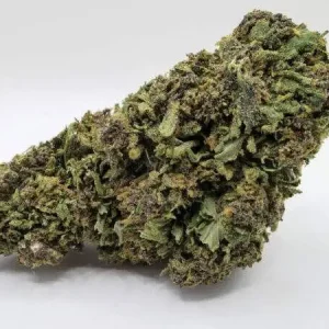 buy bud online Australia